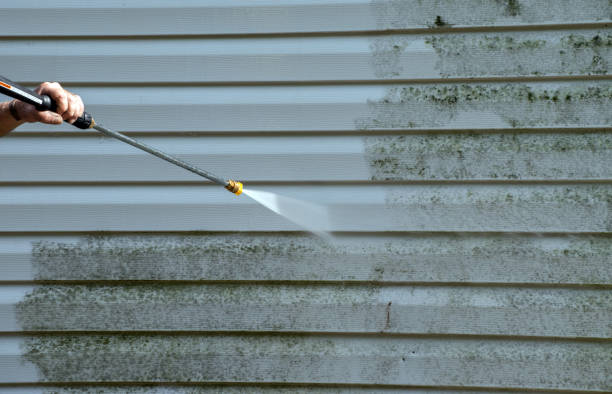 Best Attic Mold Removal  in Enon, OH