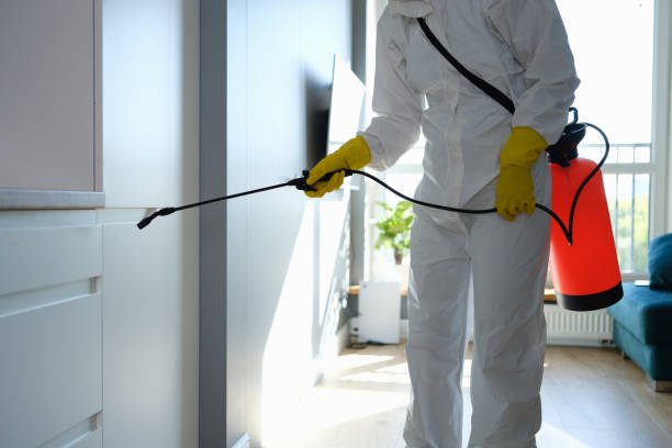 Best Mold Removal Process  in Enon, OH