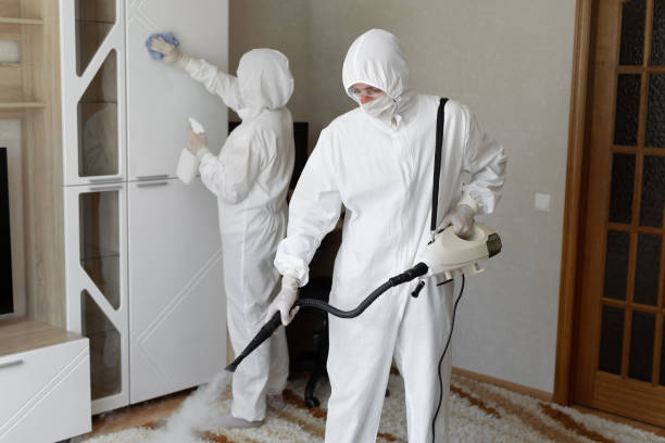 Best Mold Cleaning Services  in Enon, OH